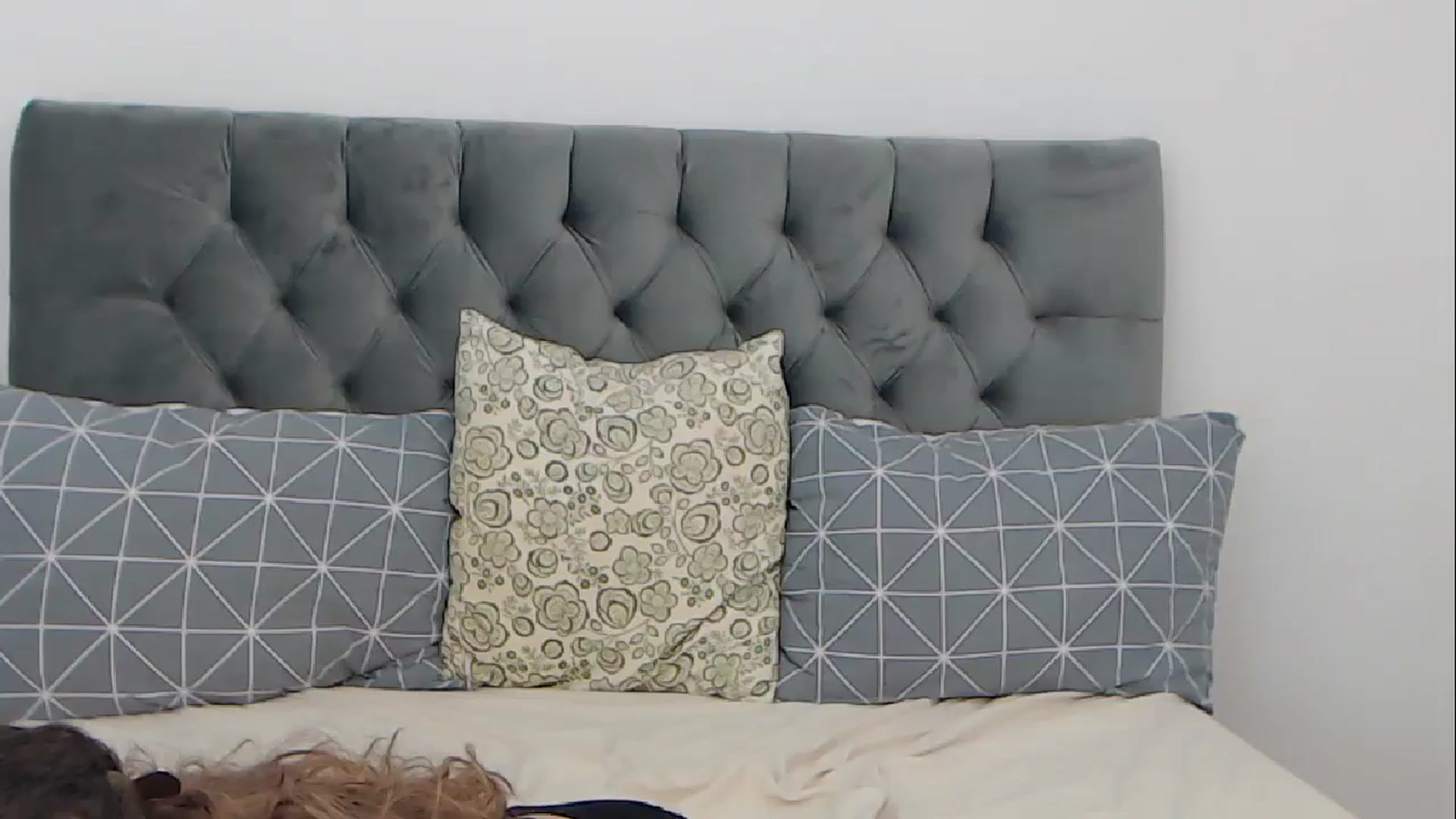 Gallery image thumbnail from BreeKanne's myfreecams stream on, 09/06/2024, 13:06 image 12 of 20
