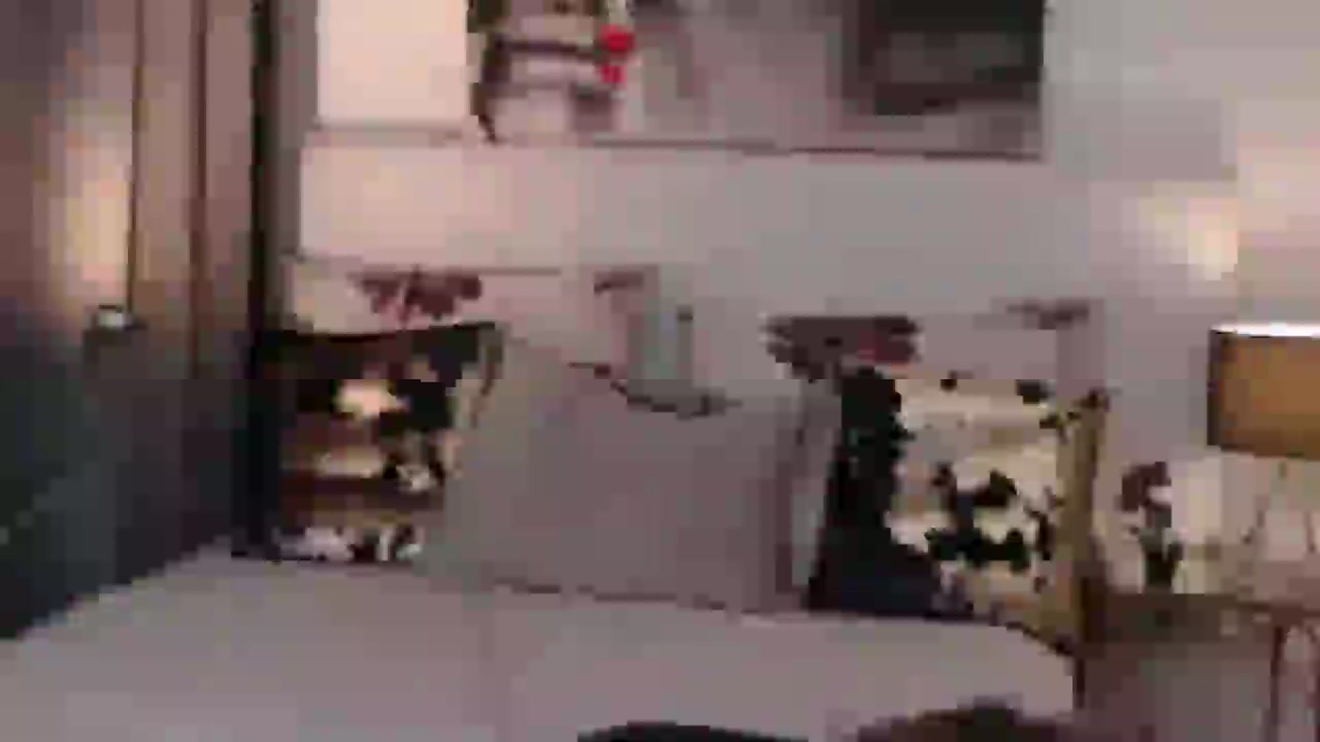Gallery image thumbnail from BreeKanne's myfreecams stream on, 11/30/2024, 17:53 image 3 of 20