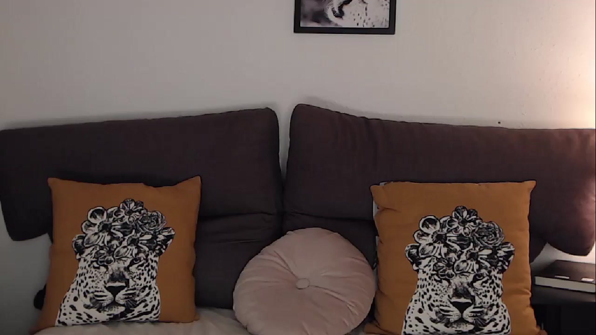 Gallery image thumbnail from BreeKanne's myfreecams stream on, 06/19/2025, 08:44 image 1 of 20