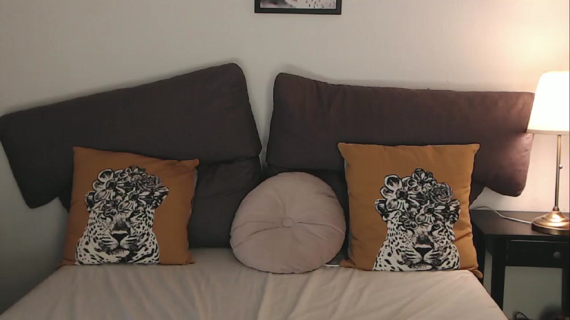Gallery image thumbnail from BreeKanne's myfreecams stream on, 08/30/2025, 14:21 image 12 of 20