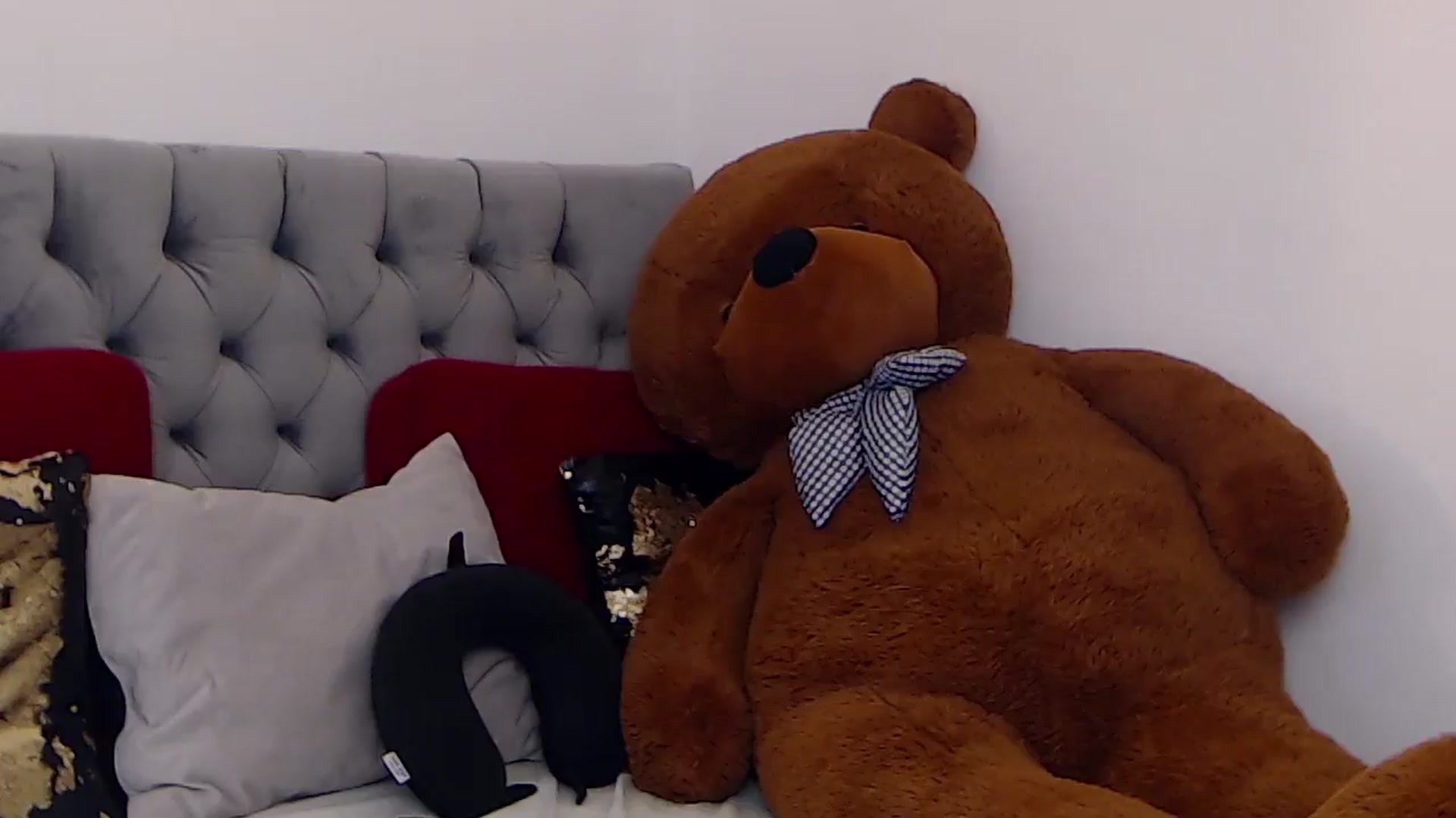 Gallery image thumbnail from BreeKanne's myfreecams stream on, 10/31/2025, 12:20 image 16 of 20