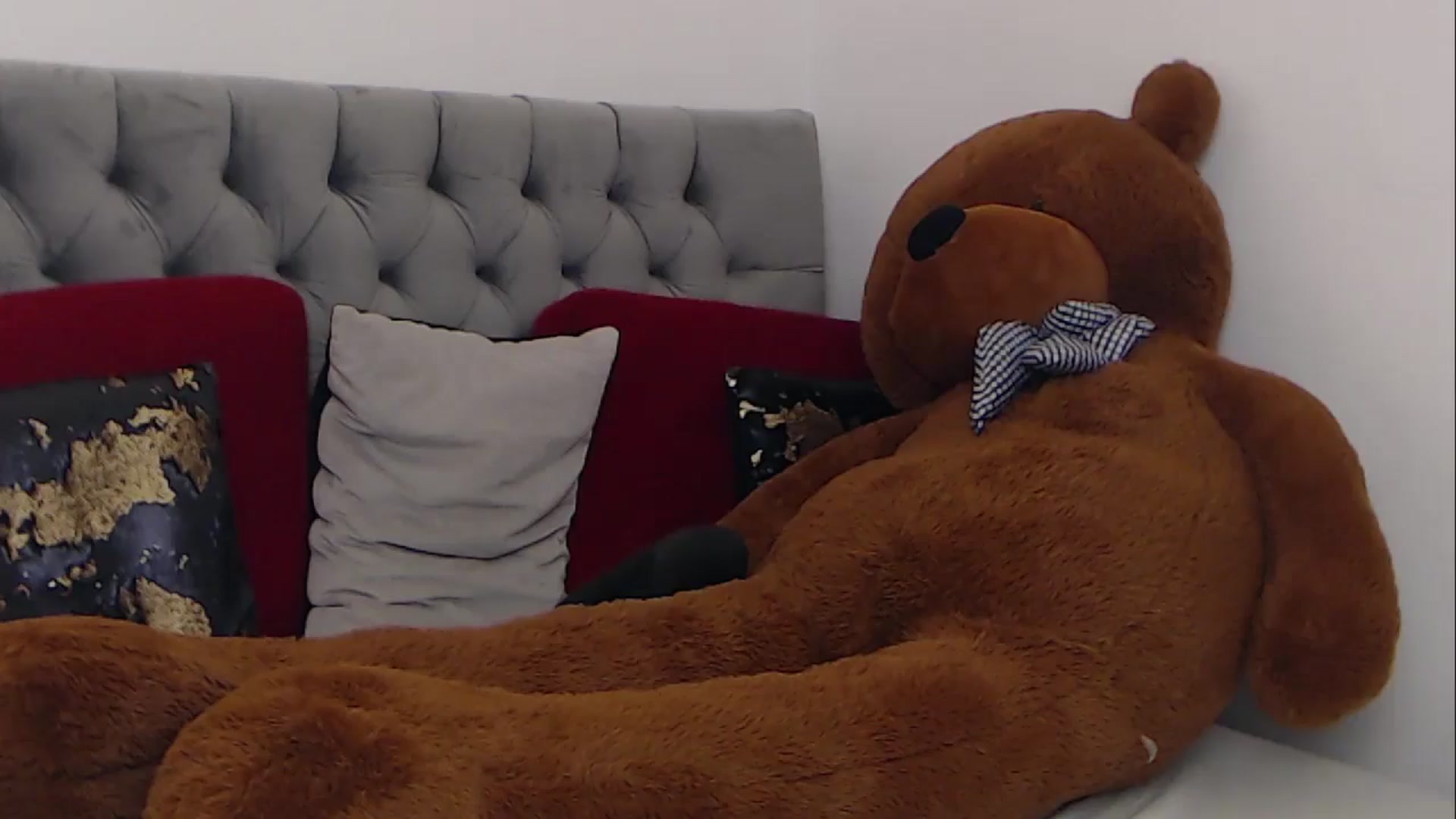 Gallery image thumbnail from BreeKanne's myfreecams stream on, 11/08/2025, 14:28 image 17 of 20