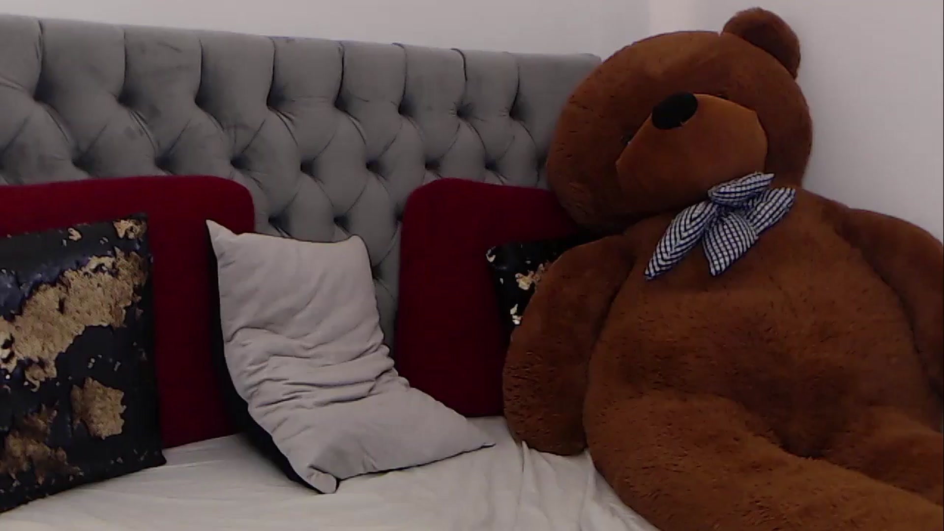 Gallery image thumbnail from BreeKanne's myfreecams stream on, 11/17/2025, 09:52 image 12 of 20