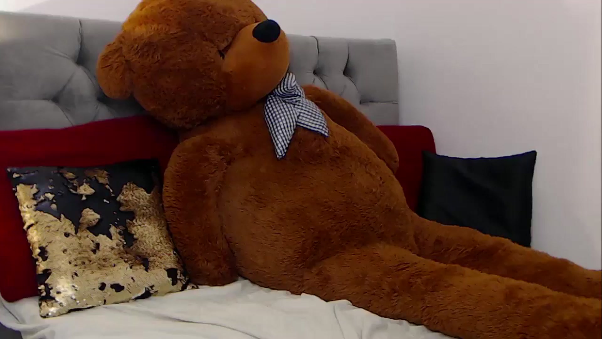 Gallery image thumbnail from BreeKanne's myfreecams stream on, 12/06/2025, 12:13 image 15 of 20