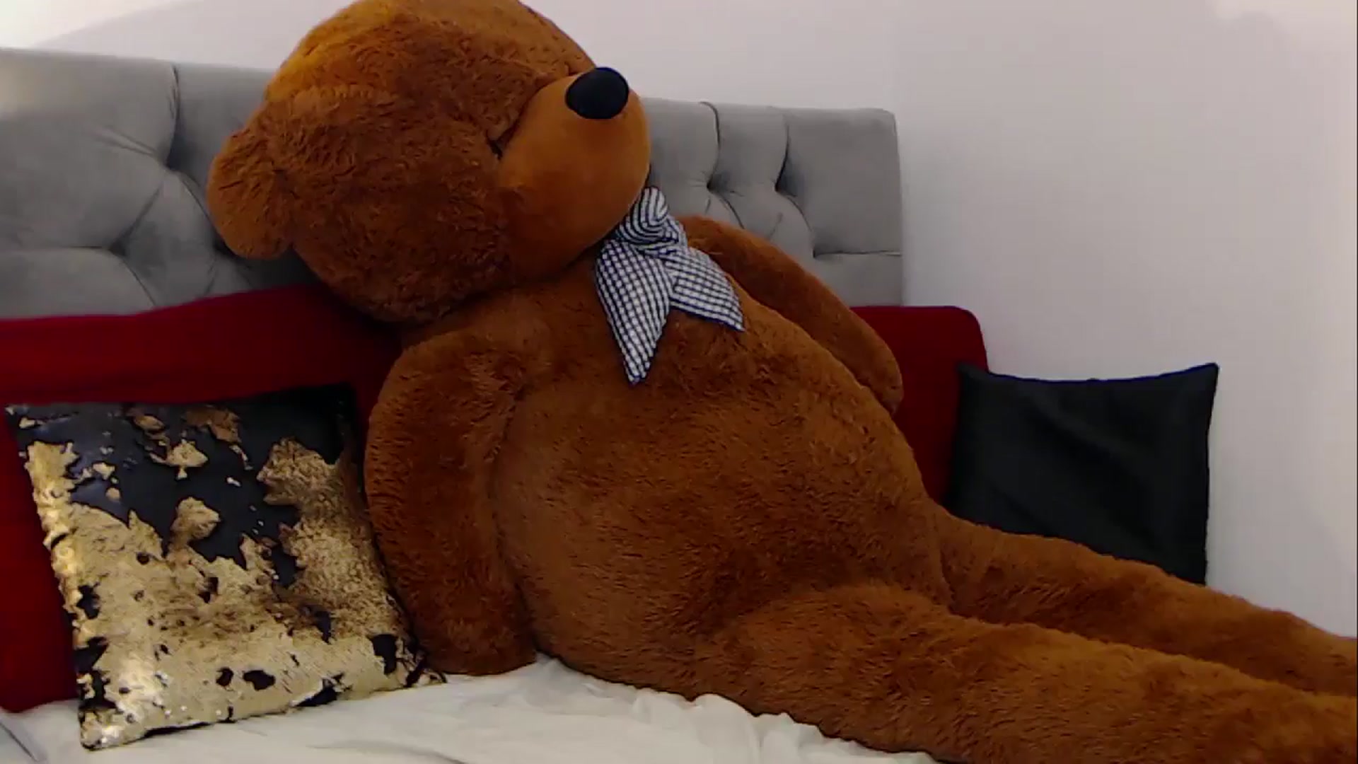 Gallery image thumbnail from BreeKanne's myfreecams stream on, 12/06/2025, 15:15 image 4 of 20