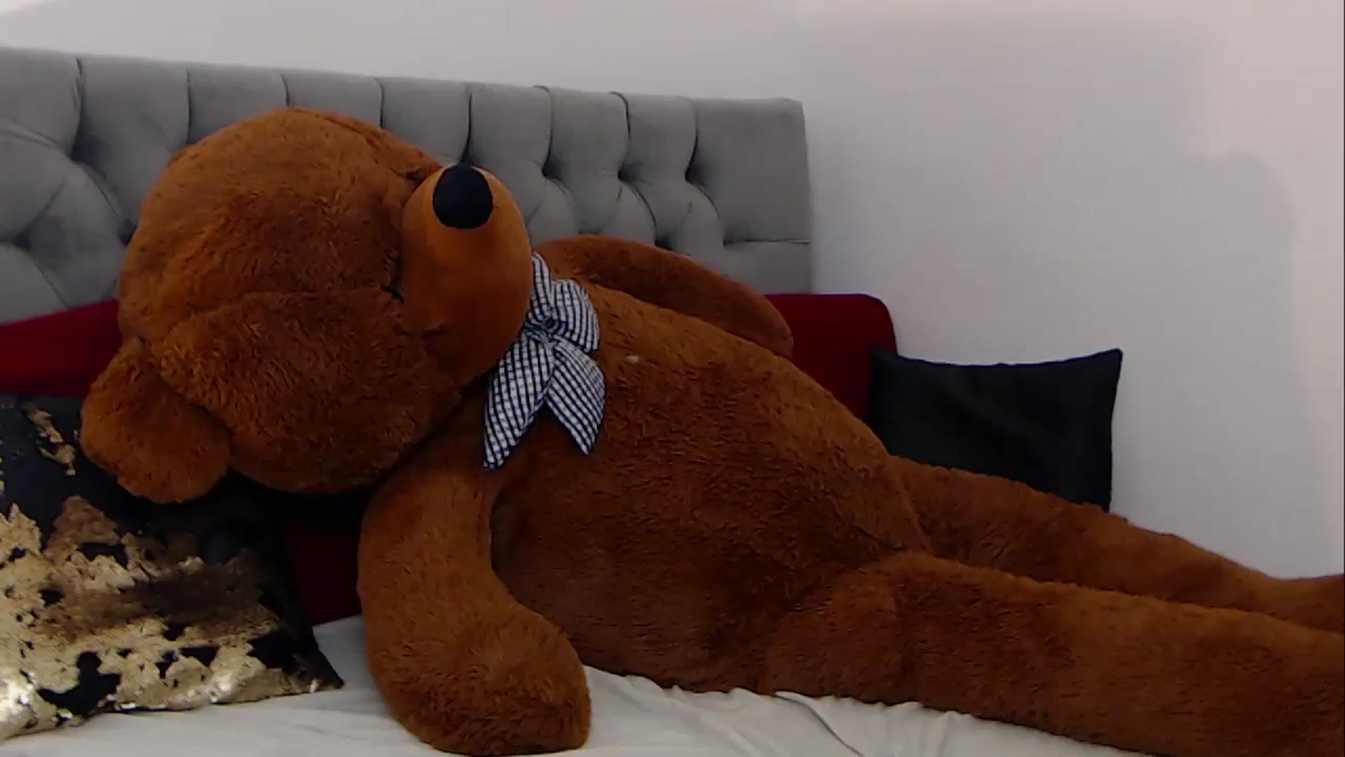 Gallery image thumbnail from BreeKanne's myfreecams stream on, 12/10/2025, 11:40 image 13 of 20