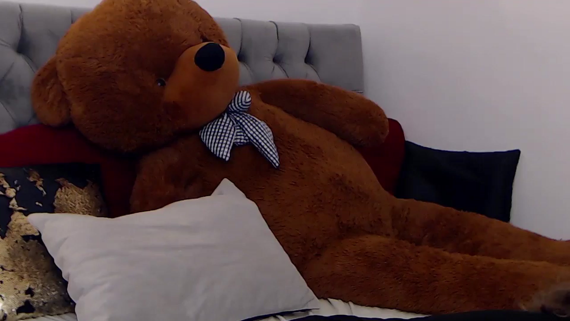 Gallery image thumbnail from BreeKanne's myfreecams stream on, 12/23/2025, 10:28 image 4 of 20