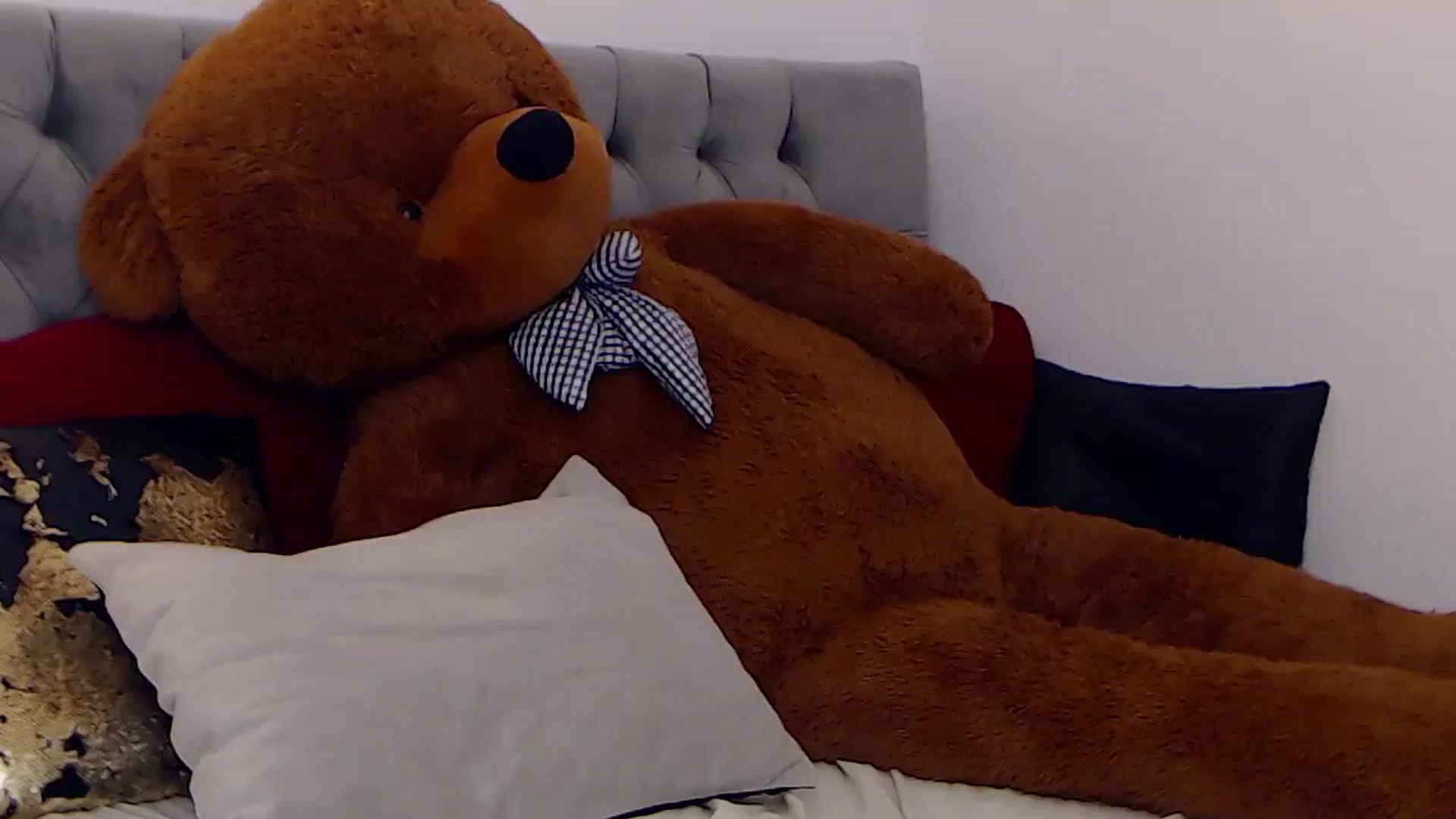Gallery image thumbnail from BreeKanne's myfreecams stream on, 12/23/2025, 10:28 image 13 of 20