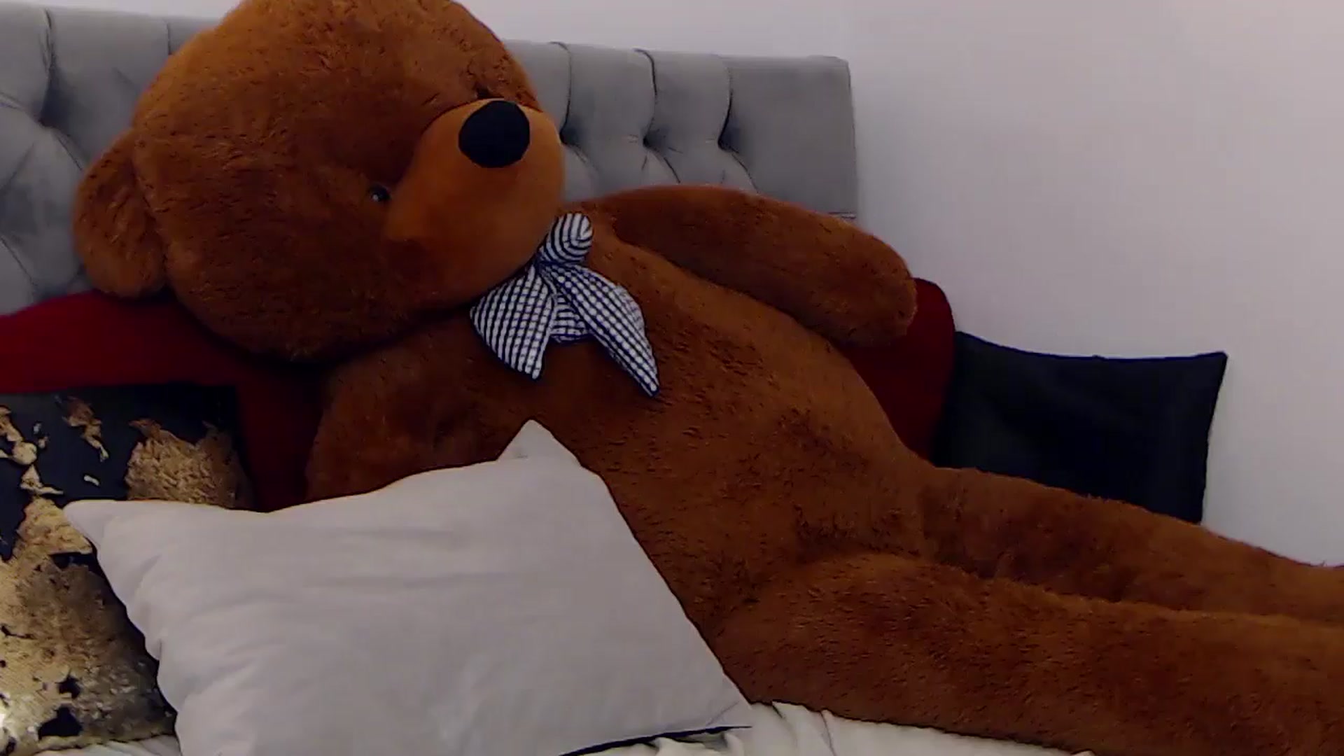 Gallery image thumbnail from BreeKanne's myfreecams stream on, 12/23/2025, 10:28 image 9 of 20