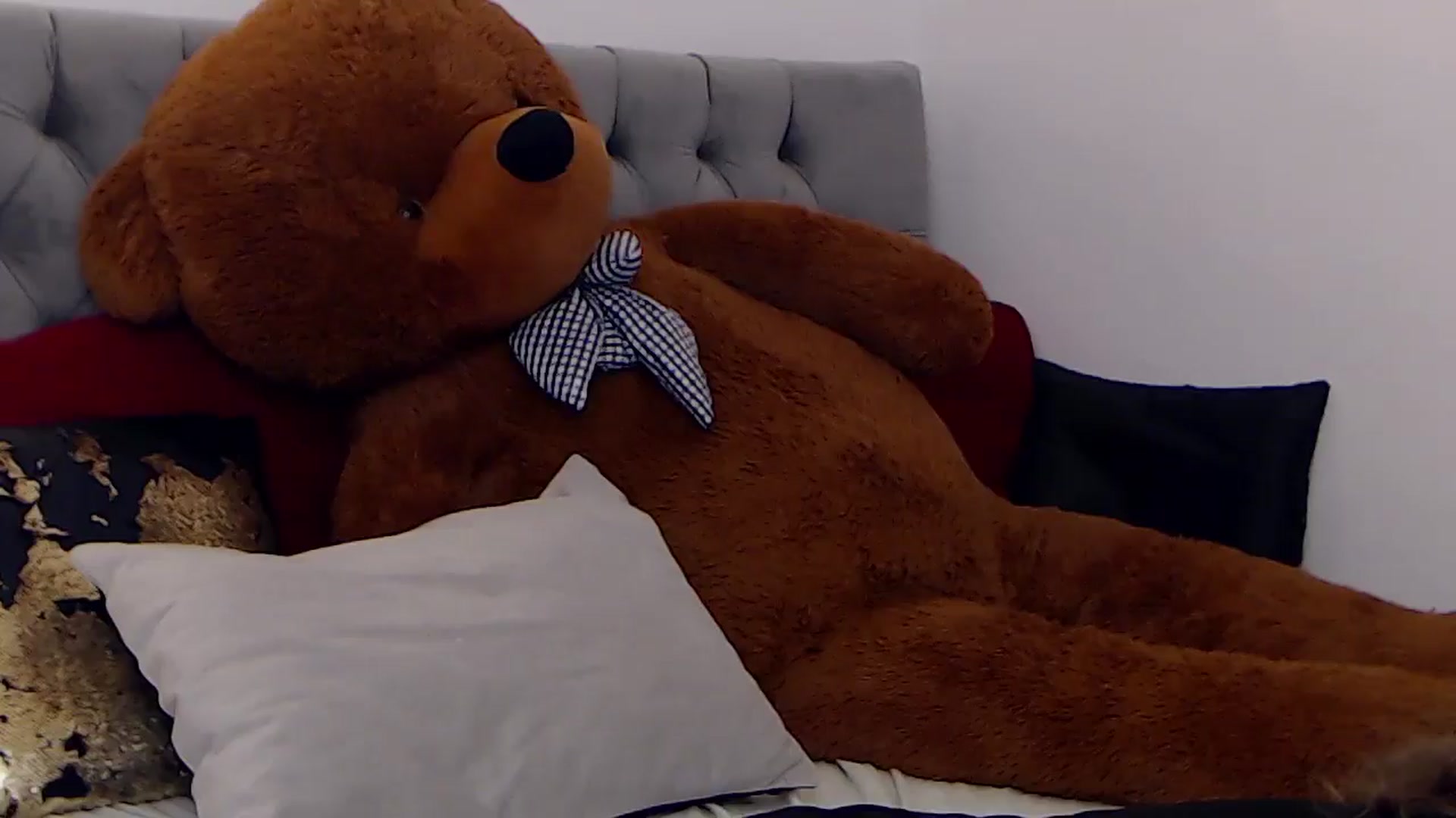 Gallery image thumbnail from BreeKanne's myfreecams stream on, 12/23/2025, 10:28 image 5 of 20