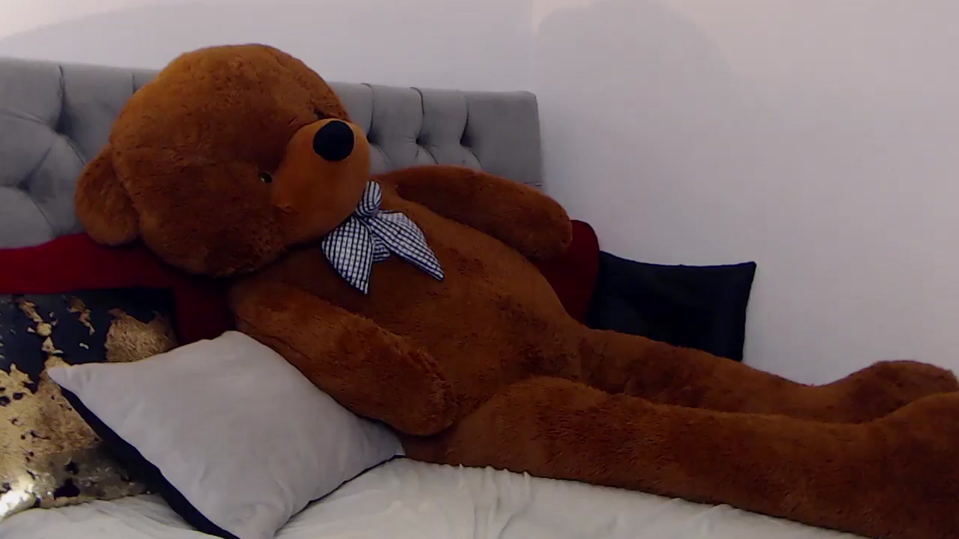 Gallery image thumbnail from BreeKanne's myfreecams stream on, 12/23/2025, 14:13 image 16 of 20