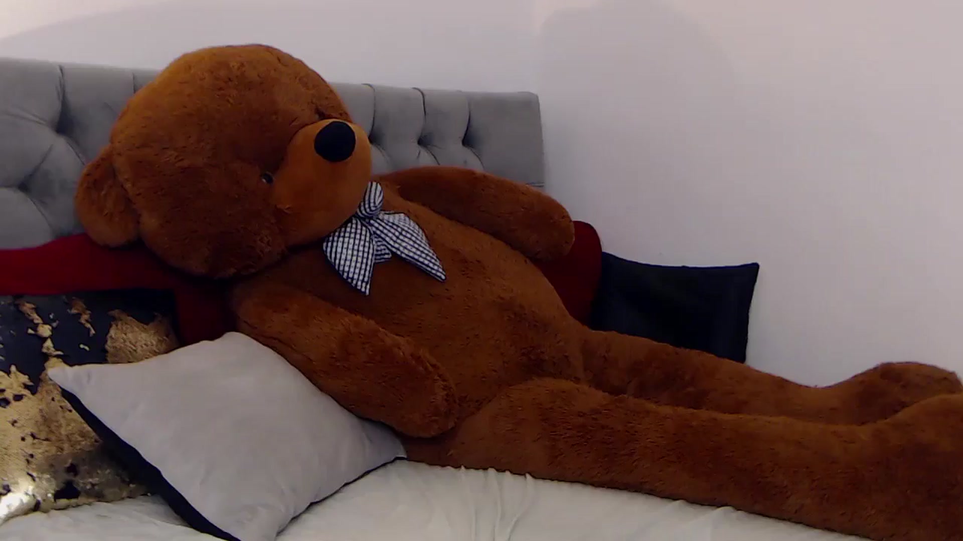 Gallery image thumbnail from BreeKanne's myfreecams stream on, 12/23/2025, 14:13 image 4 of 20