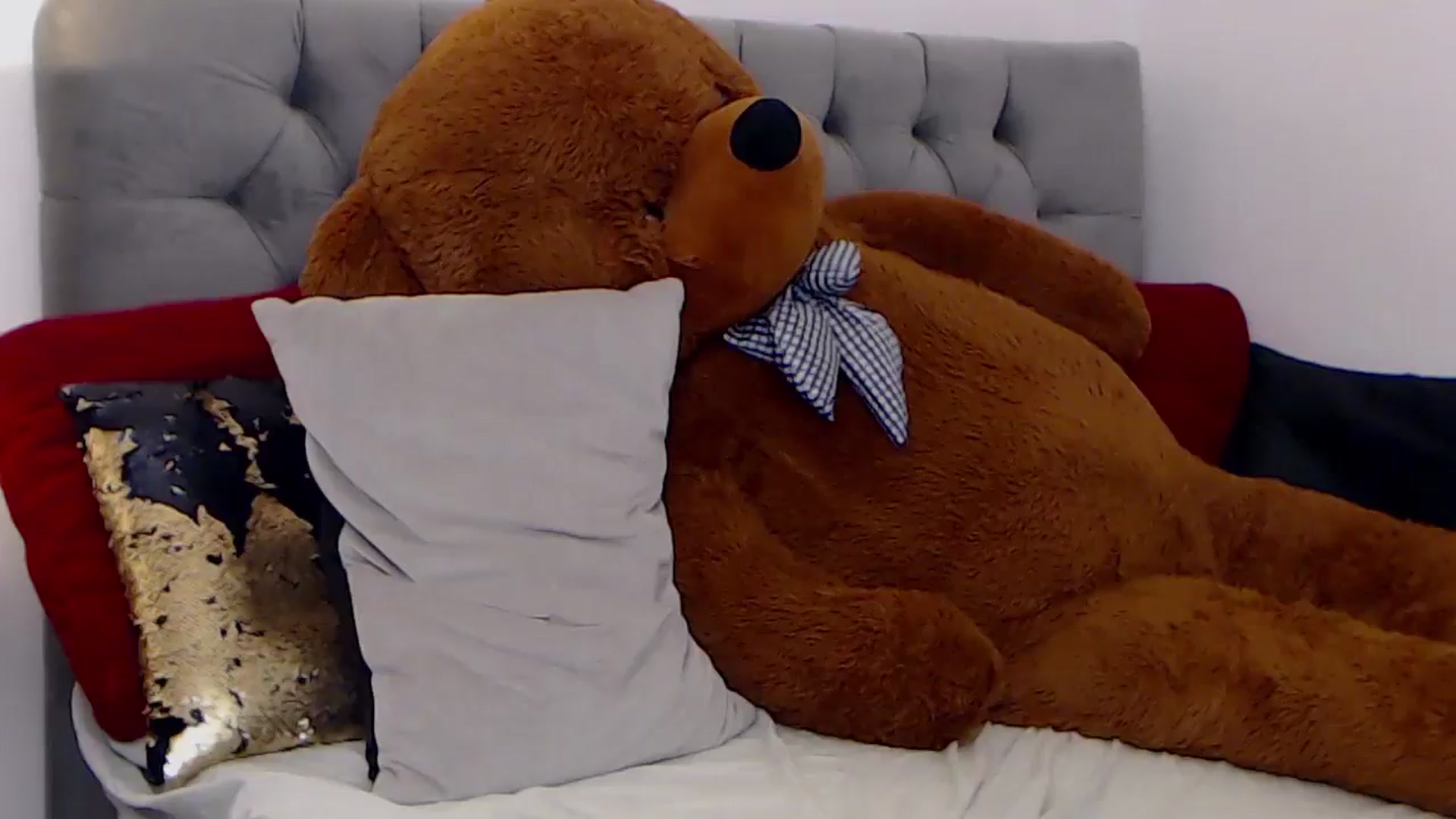 Gallery image thumbnail from BreeKanne's myfreecams stream on, 12/24/2025, 09:56 image 3 of 20