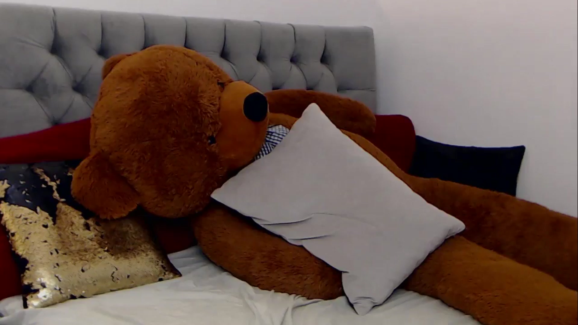 Gallery image thumbnail from BreeKanne's myfreecams stream on, 12/29/2025, 12:02 image 15 of 20