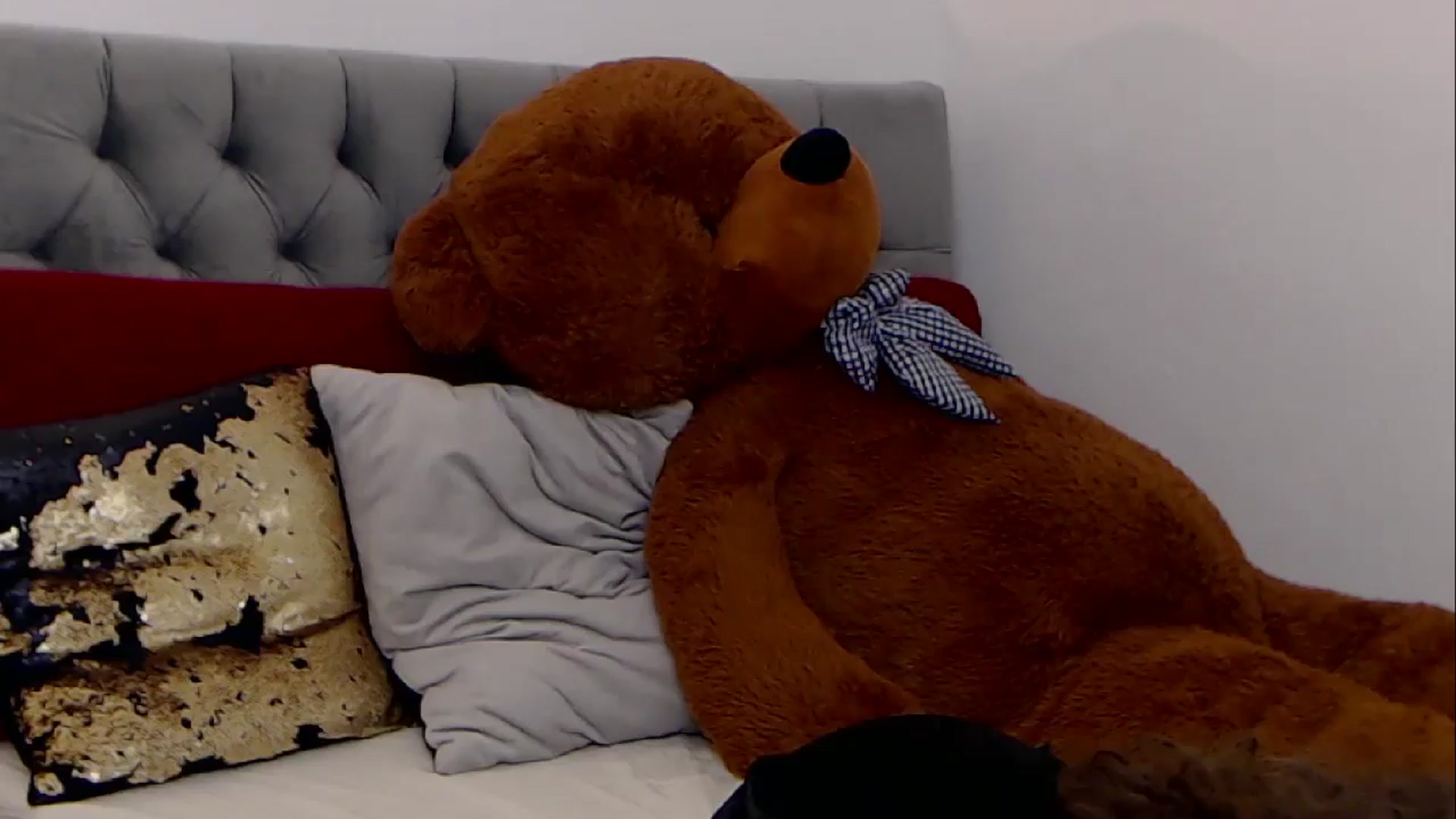 Gallery image thumbnail from BreeKanne's myfreecams stream on, 01/04/2026, 13:02 image 10 of 20