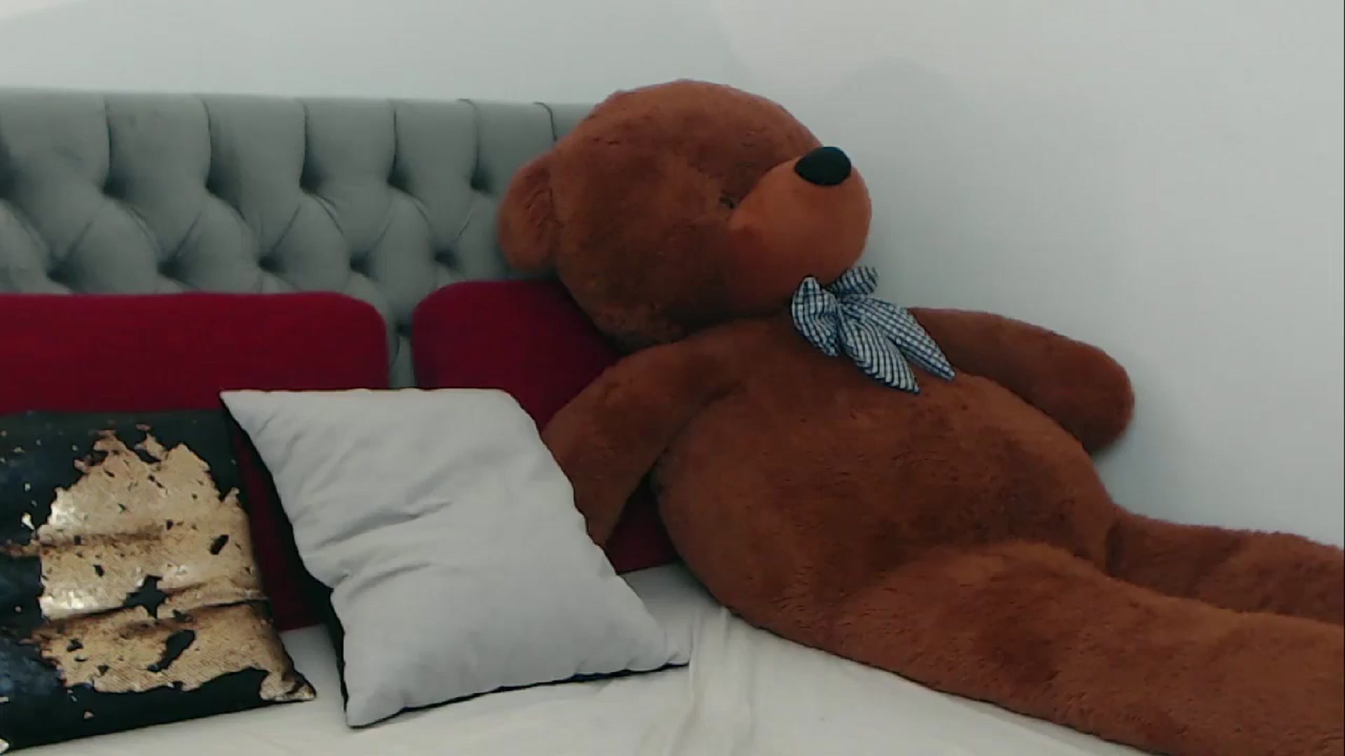 Gallery image thumbnail from BreeKanne's myfreecams stream on, 01/12/2026, 08:51 image 7 of 20