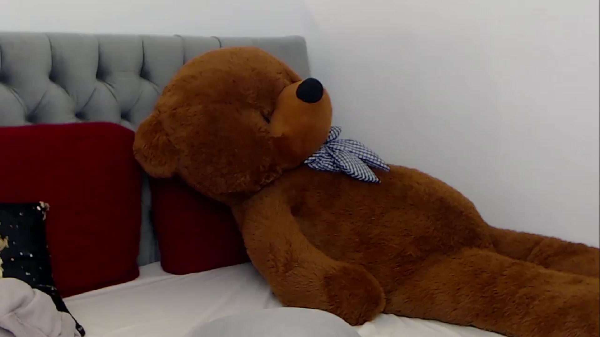 Gallery image thumbnail from BreeKanne's myfreecams stream on, 01/25/2026, 11:58 image 20 of 20