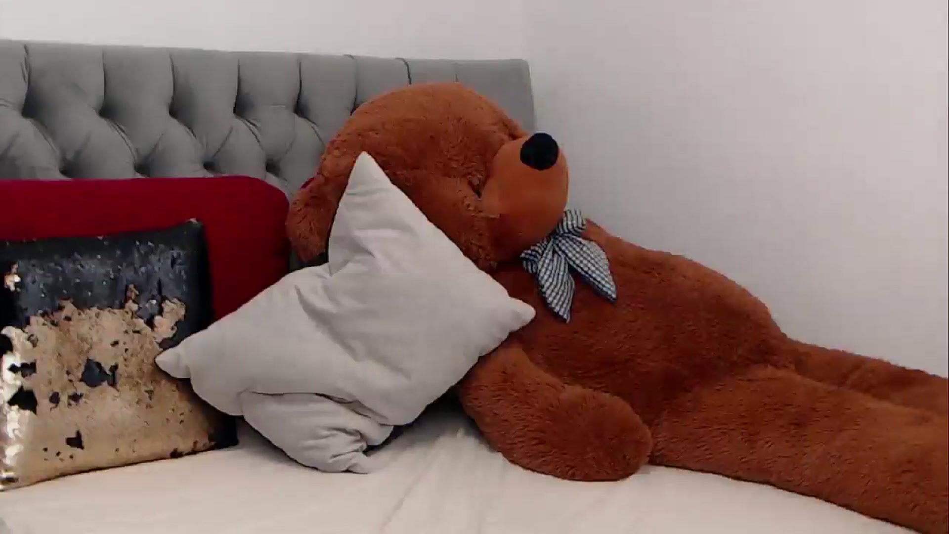 Gallery image thumbnail from BreeKanne's myfreecams stream on, 02/10/2026, 16:16 image 18 of 20