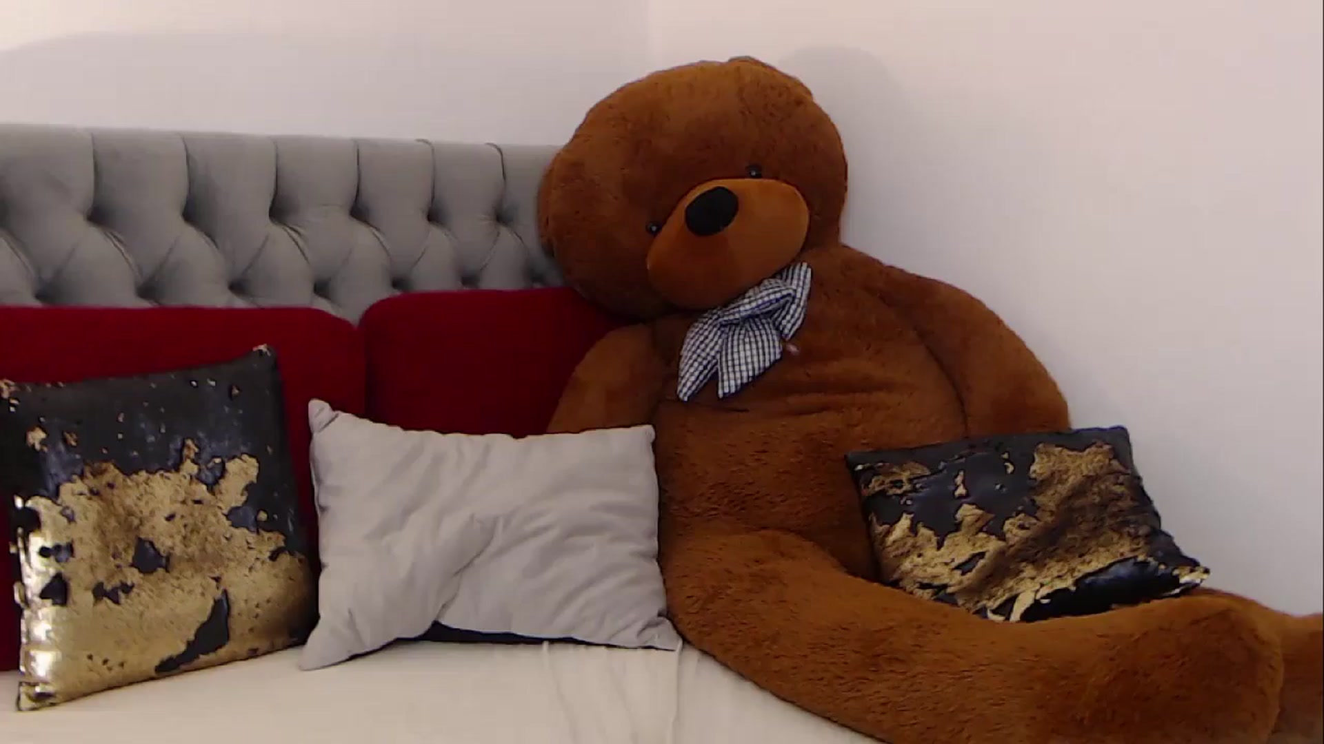 Gallery image thumbnail from BreeKanne's myfreecams stream on, 02/14/2026, 10:50 image 15 of 20
