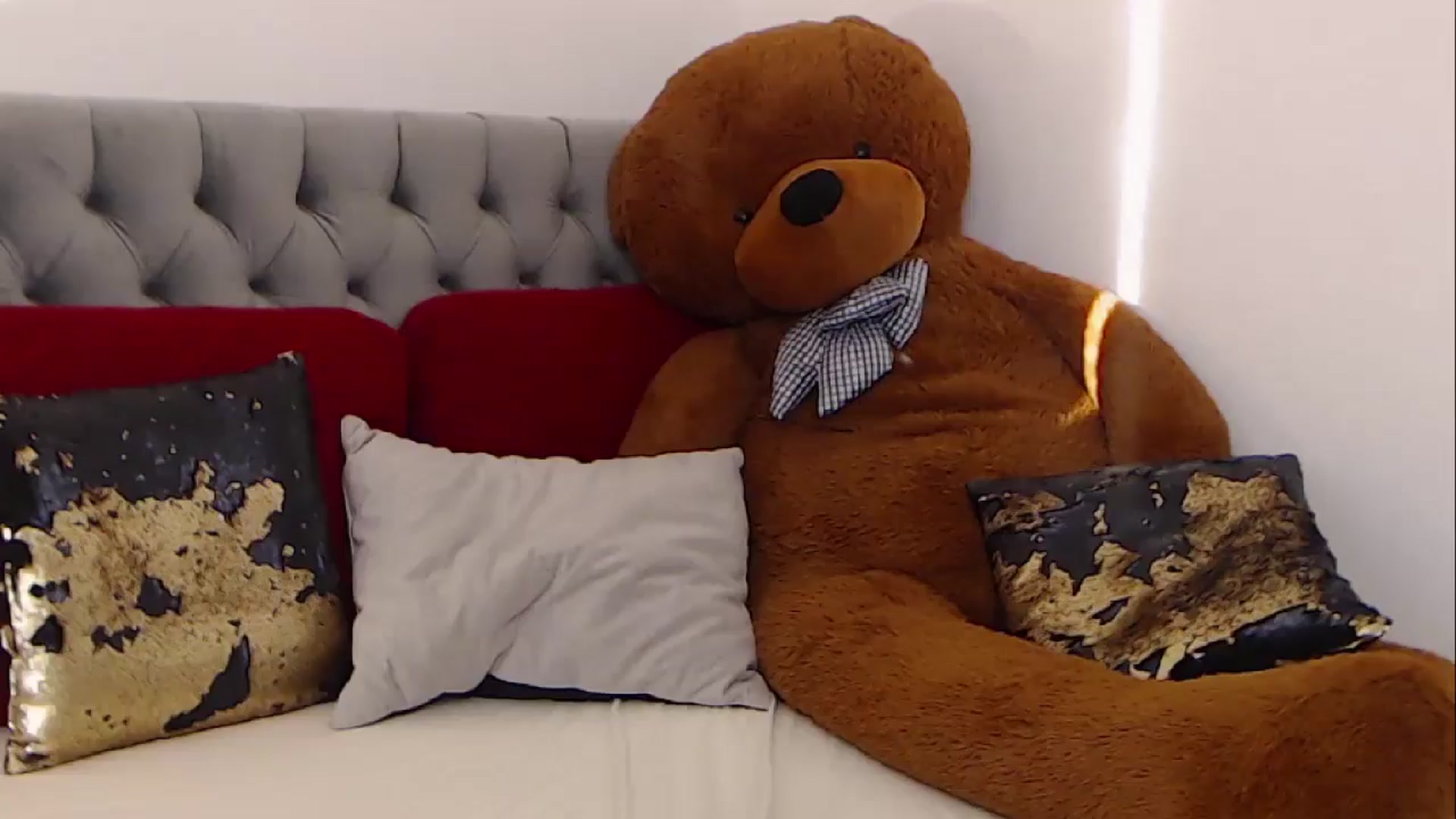 Gallery image thumbnail from BreeKanne's myfreecams stream on, 02/14/2026, 15:52 image 9 of 20