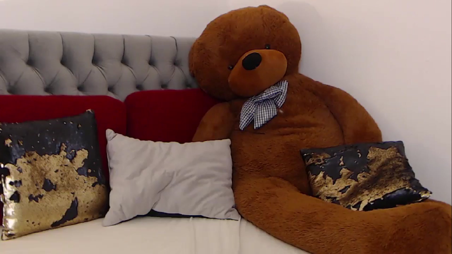 Gallery image thumbnail from BreeKanne's myfreecams stream on, 02/14/2026, 15:52 image 12 of 20