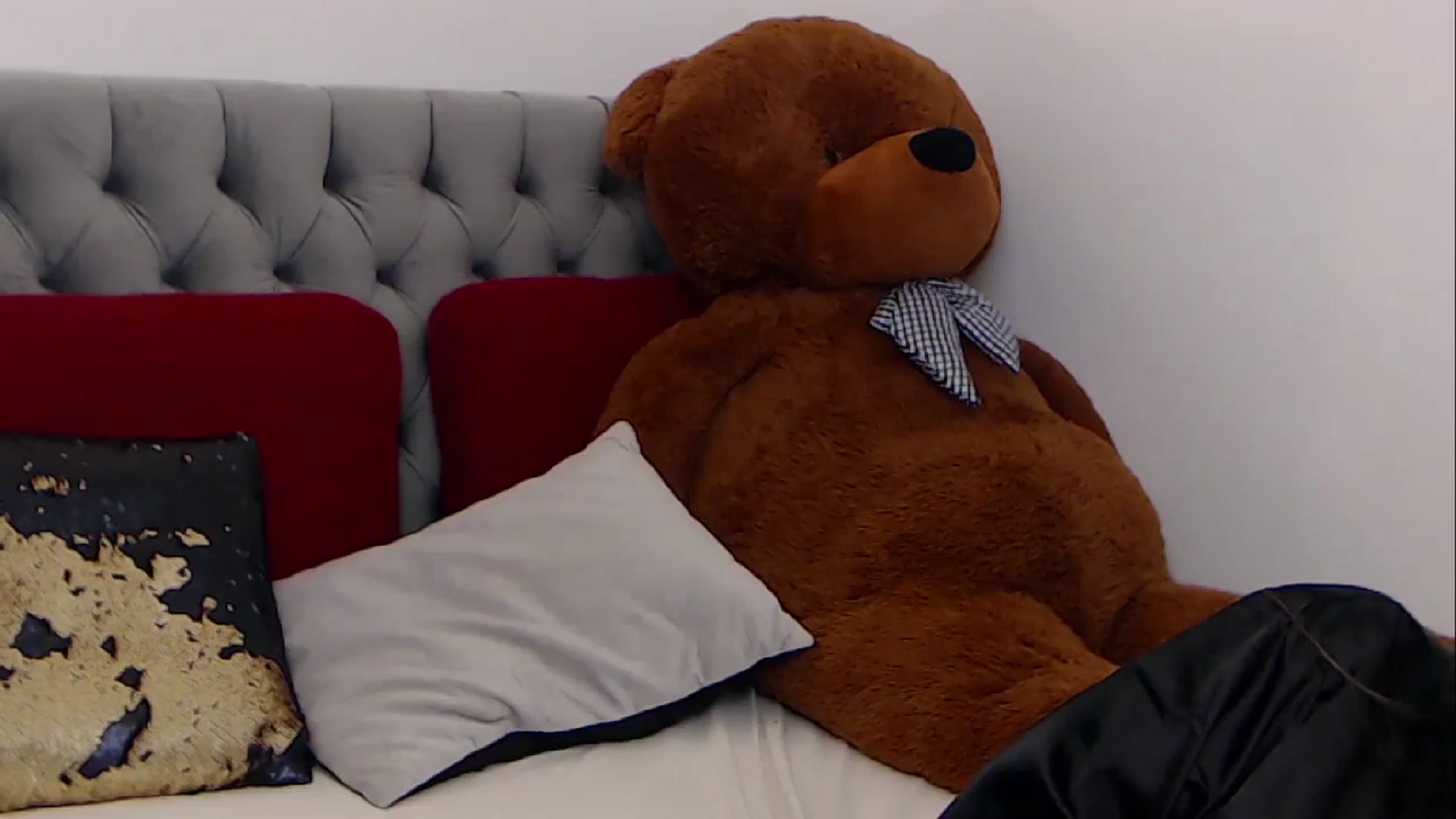 Gallery image thumbnail from BreeKanne's myfreecams stream on, 02/15/2026, 18:18 image 16 of 20