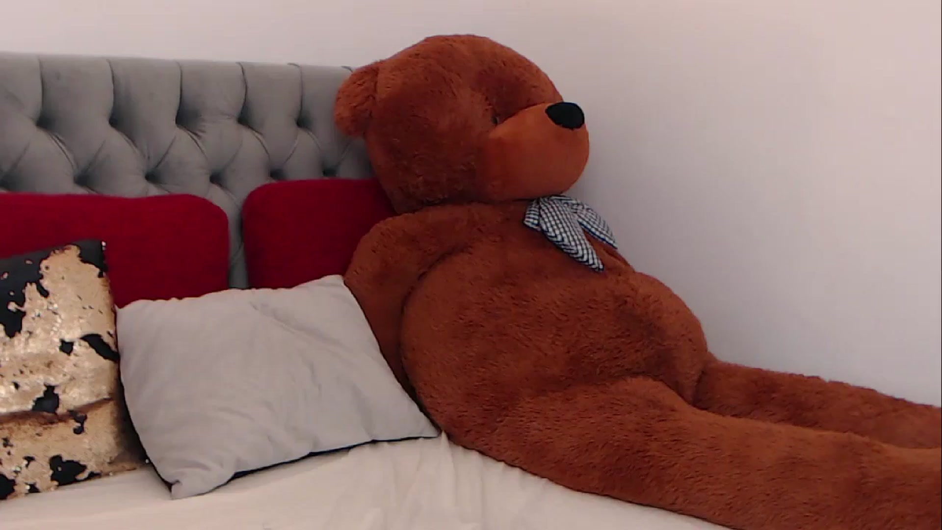 Gallery image thumbnail from BreeKanne's myfreecams stream on, 02/20/2026, 13:29 image 13 of 20