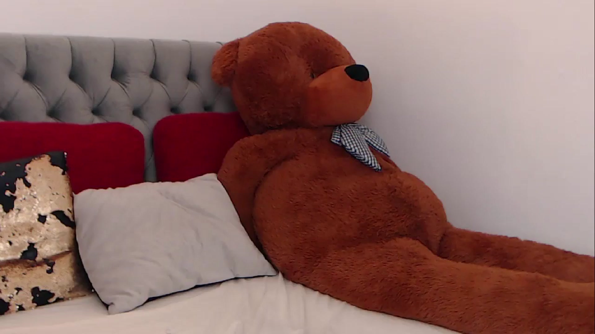 Gallery image thumbnail from BreeKanne's myfreecams stream on, 02/20/2026, 13:29 image 12 of 20