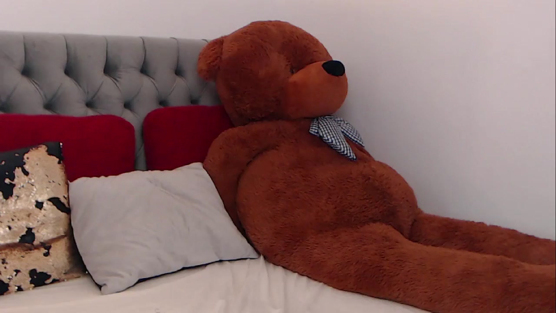 Gallery image thumbnail from BreeKanne's myfreecams stream on, 02/20/2026, 13:29 image 10 of 20