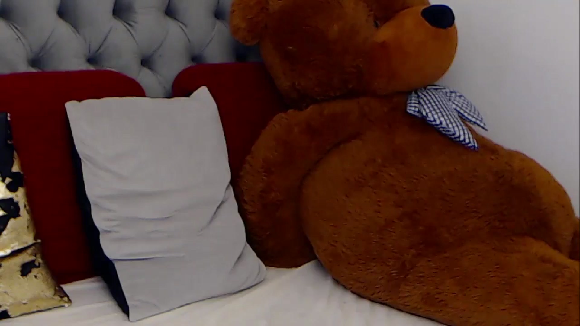Gallery image thumbnail from BreeKanne's myfreecams stream on, 02/23/2026, 08:29 image 17 of 20