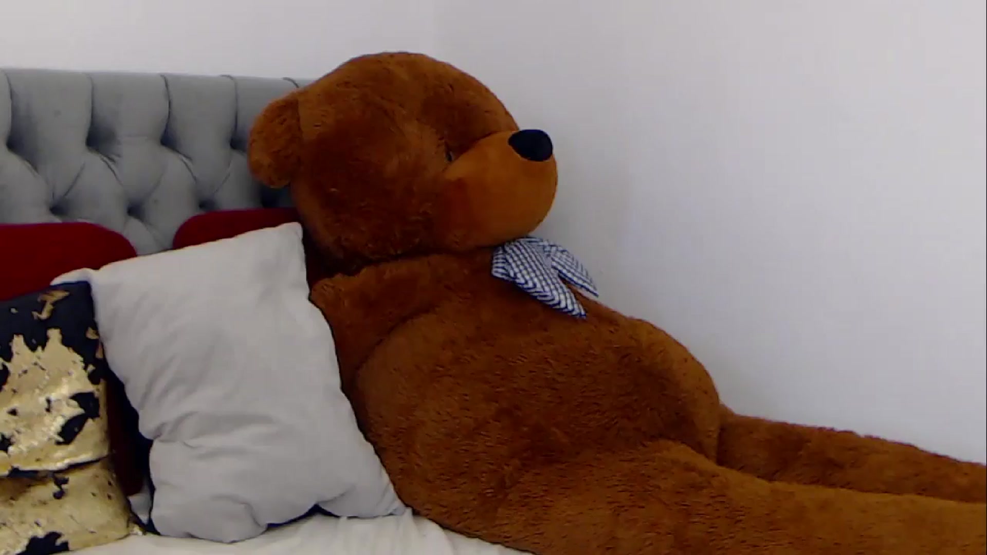 Gallery image thumbnail from BreeKanne's myfreecams stream on, 02/23/2026, 13:11 image 1 of 20