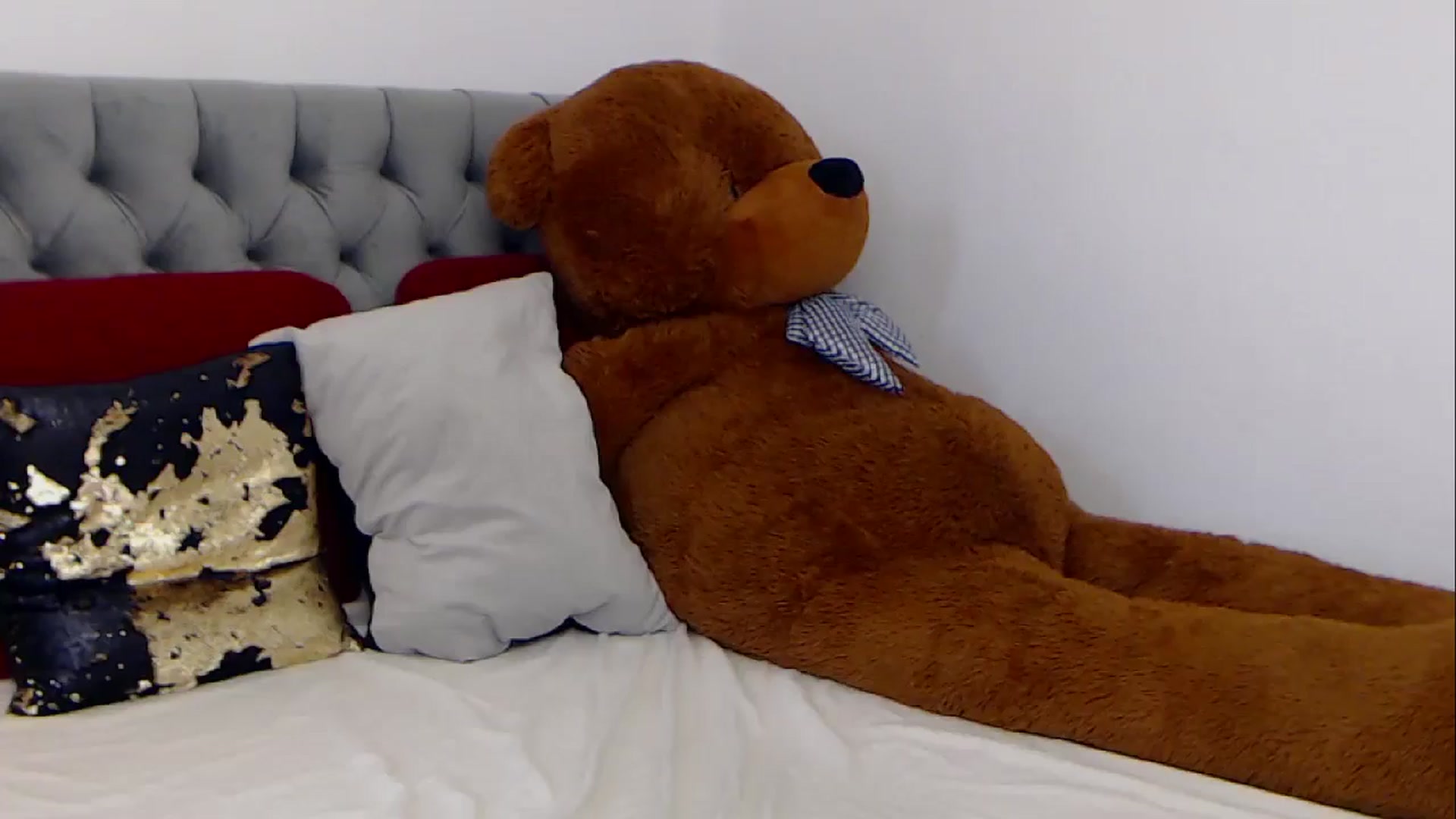 Gallery image thumbnail from BreeKanne's myfreecams stream on, 02/23/2026, 13:11 image 12 of 20