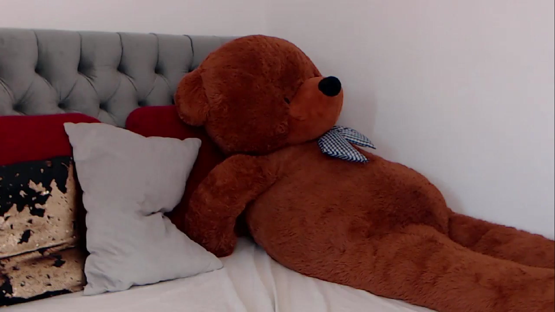 Gallery image thumbnail from BreeKanne's myfreecams stream on, 02/25/2026, 10:11 image 9 of 20