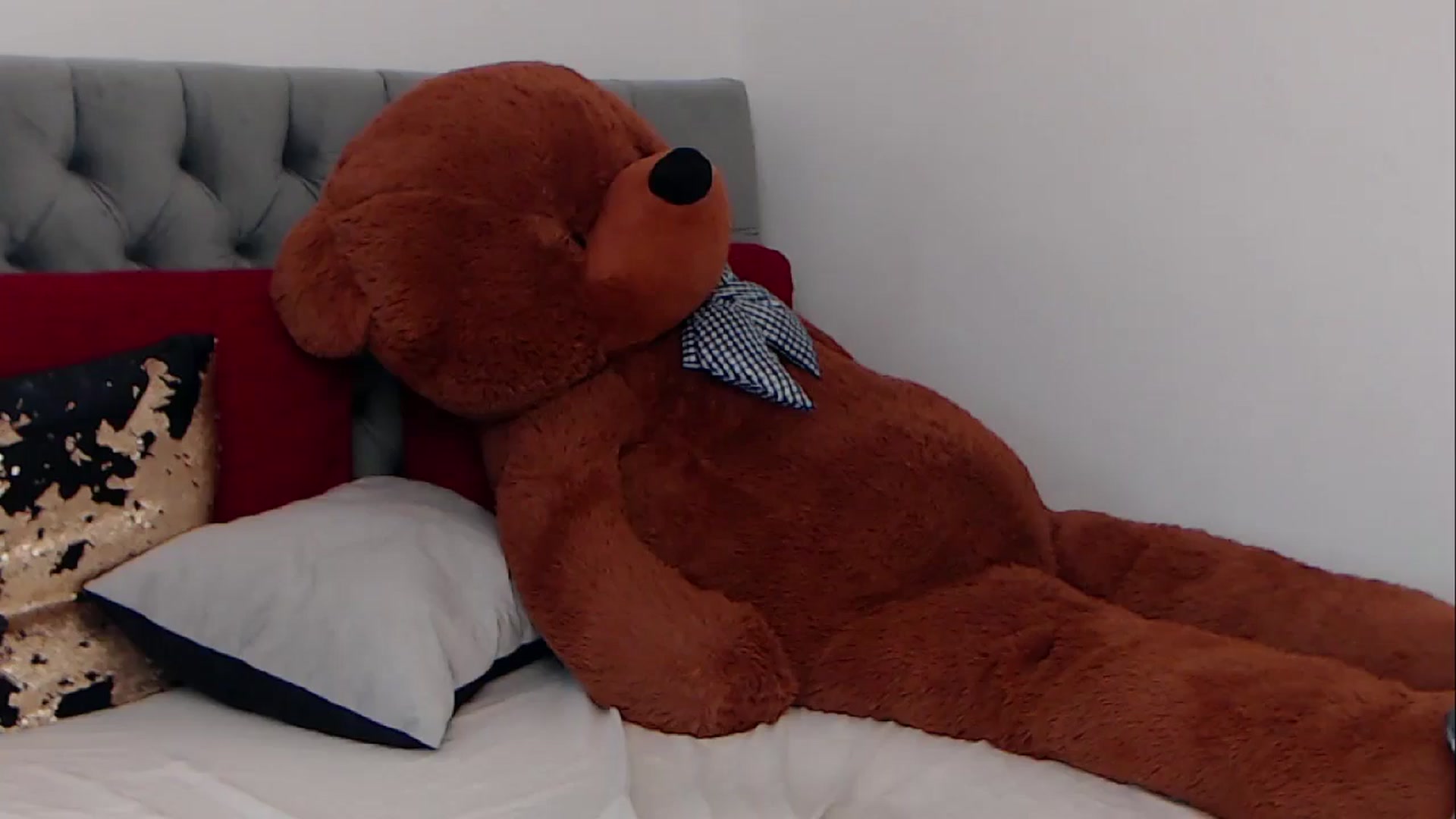 Gallery image thumbnail from BreeKanne's myfreecams stream on, 02/28/2026, 10:00 image 19 of 20
