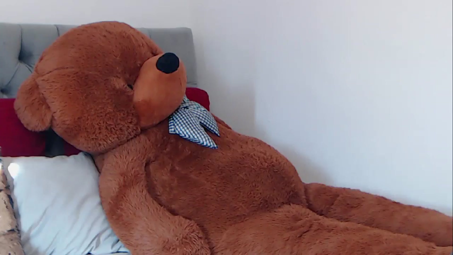 Gallery image thumbnail from BreeKanne's myfreecams stream on, 02/28/2026, 13:16 image 7 of 20