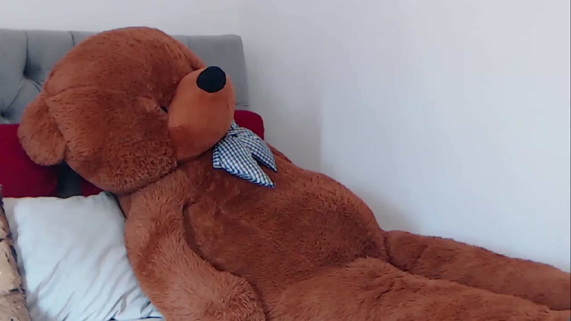 Gallery image thumbnail from BreeKanne's myfreecams stream on, 02/28/2026, 13:16 image 4 of 20