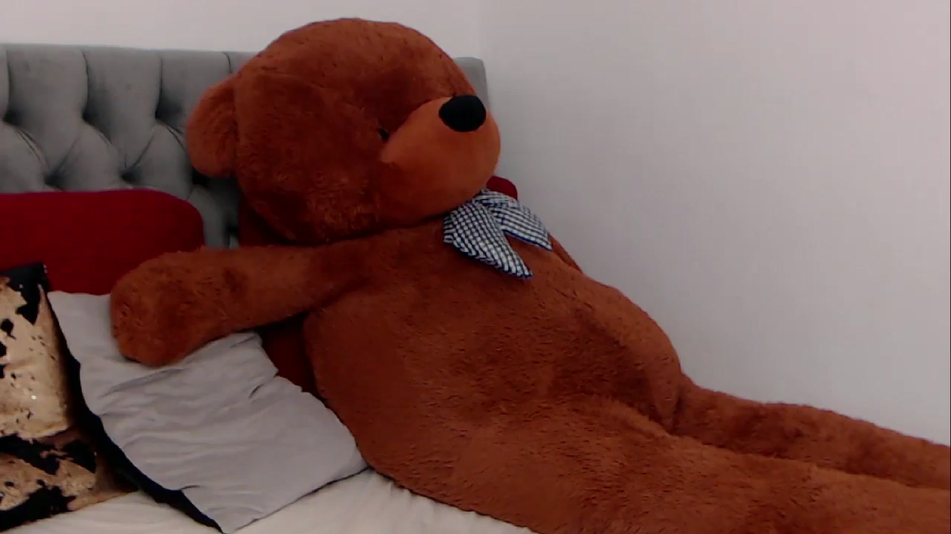 Gallery image thumbnail from BreeKanne's myfreecams stream on, 03/02/2026, 08:31 image 8 of 20