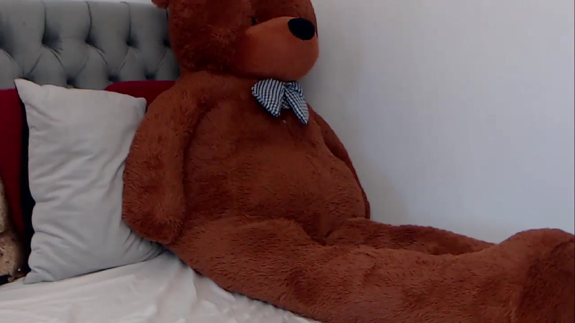 Gallery image thumbnail from BreeKanne's myfreecams stream on, 03/04/2026, 11:06 image 12 of 20