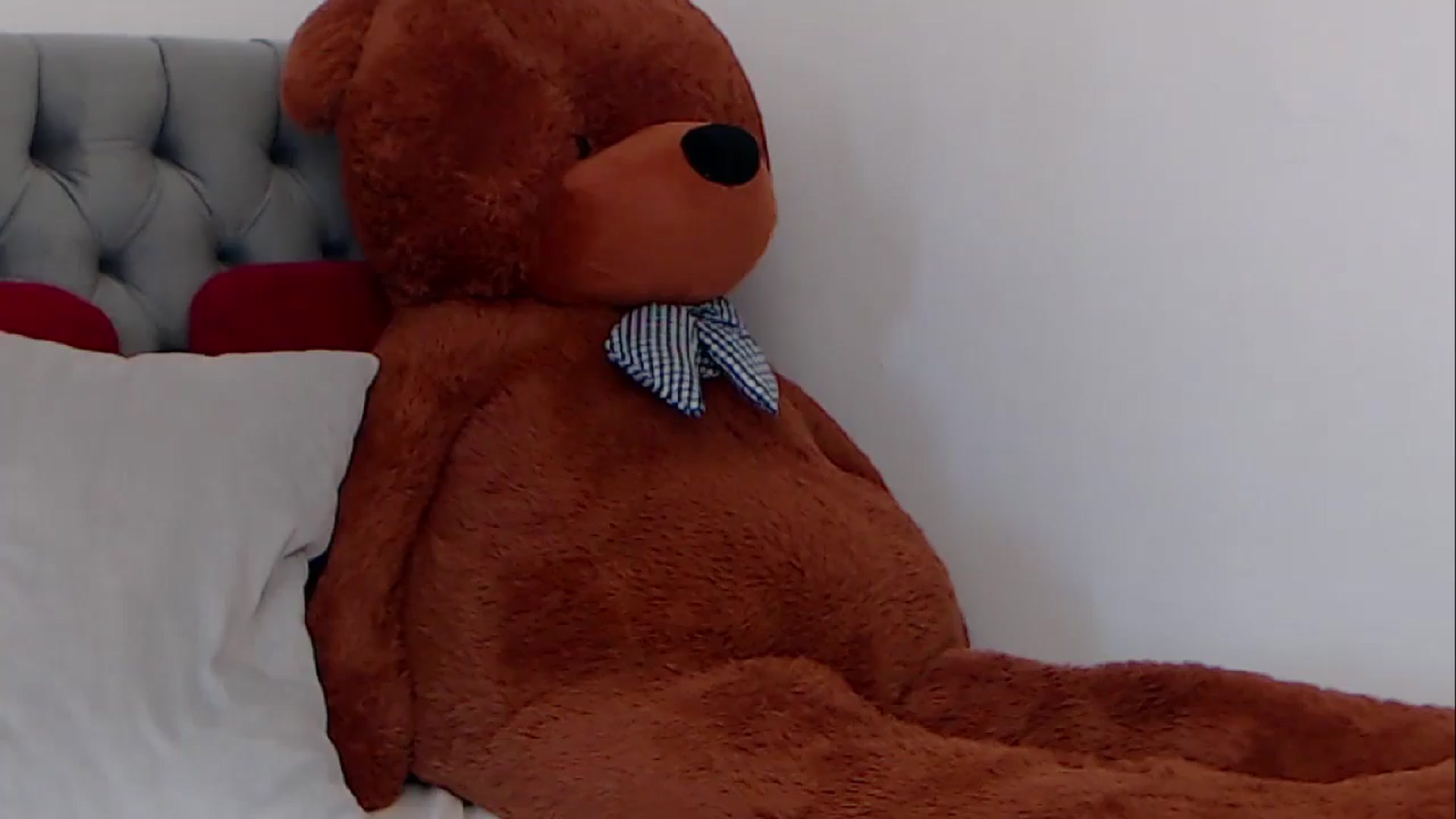 Gallery image thumbnail from BreeKanne's myfreecams stream on, 03/04/2026, 12:09 image 15 of 20