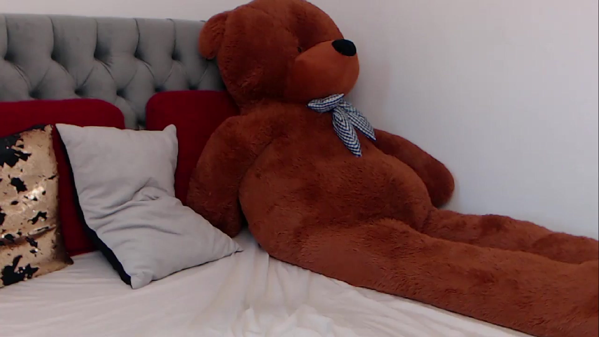 Gallery image thumbnail from BreeKanne's myfreecams stream on, 03/08/2026, 08:35 image 14 of 20
