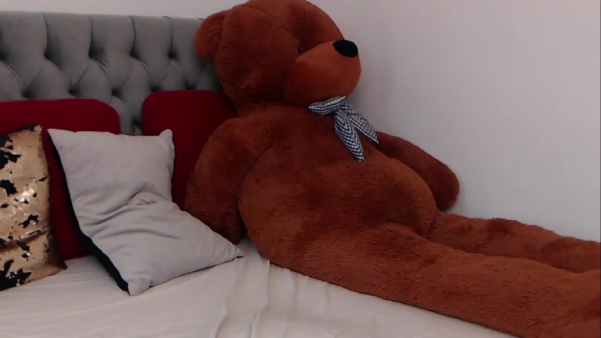 Gallery image thumbnail from BreeKanne's myfreecams stream on, 03/09/2026, 07:29 image 10 of 20