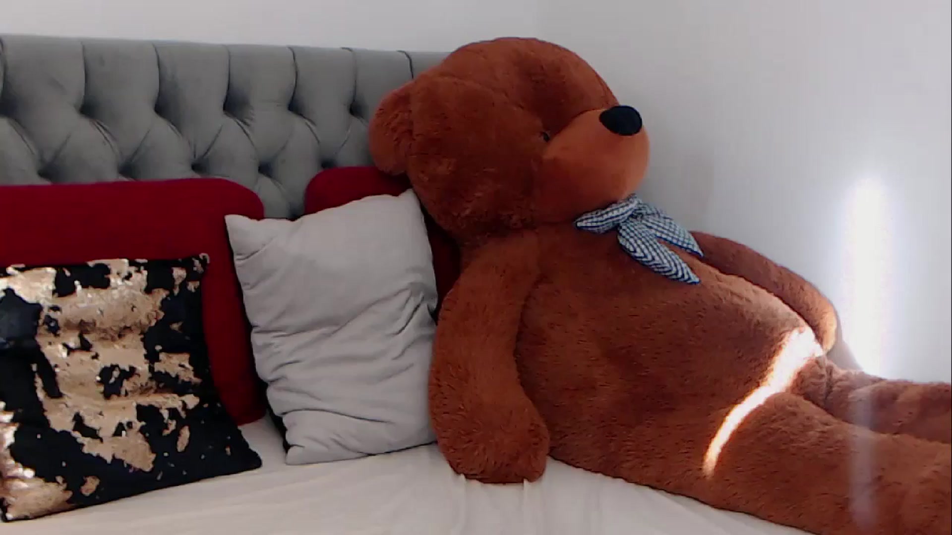 Gallery image thumbnail from BreeKanne's myfreecams stream on, 03/12/2026, 14:28 image 19 of 20