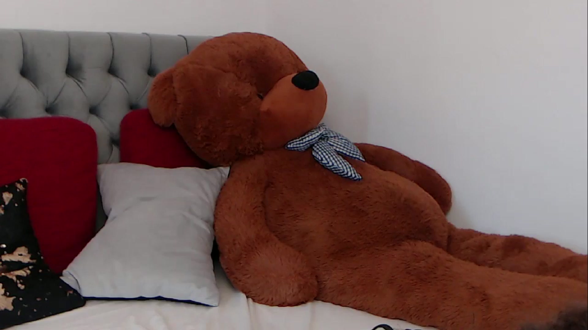 Gallery image thumbnail from BreeKanne's myfreecams stream on, 03/13/2026, 11:09 image 15 of 20