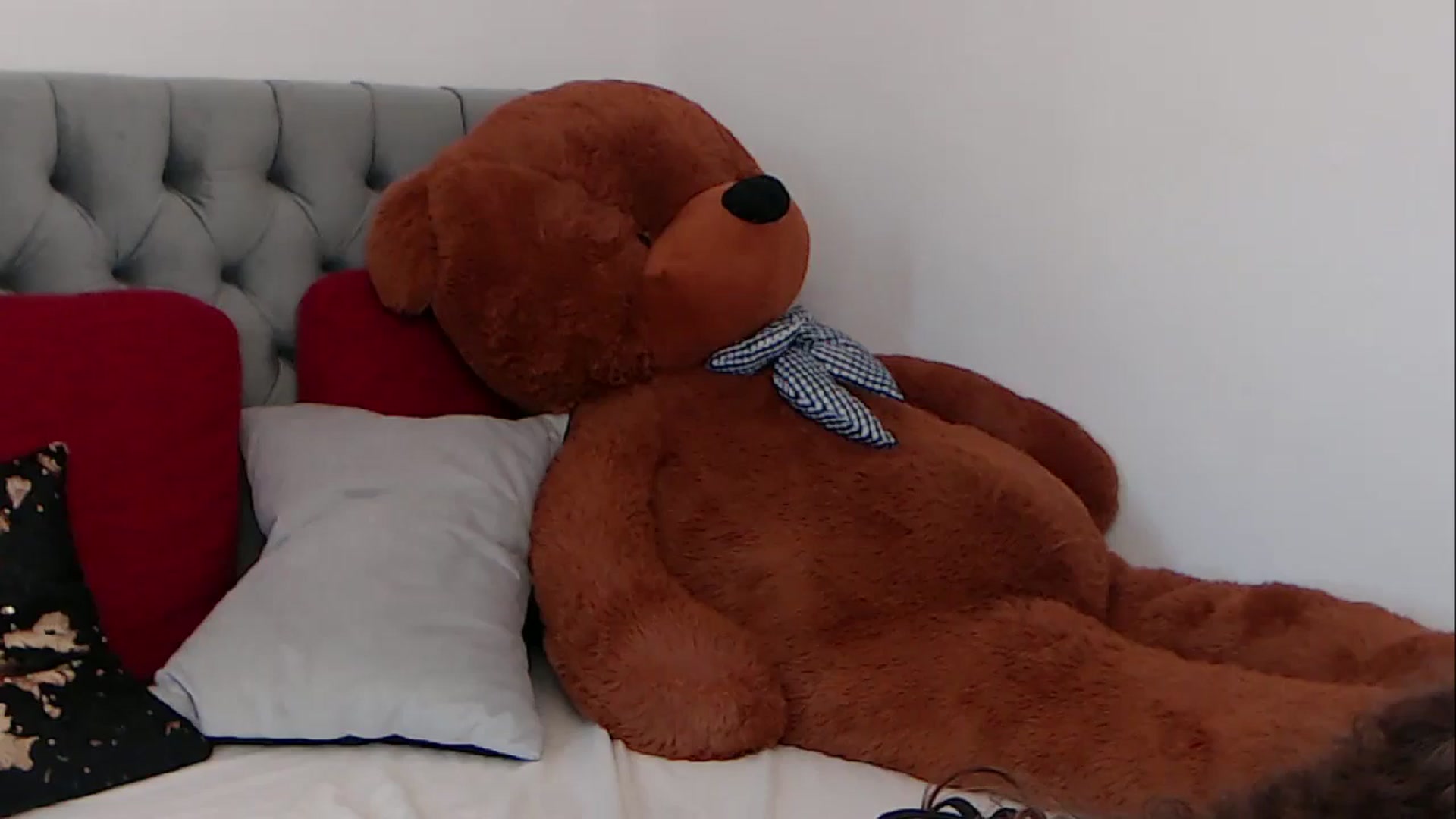 Gallery image thumbnail from BreeKanne's myfreecams stream on, 03/13/2026, 11:09 image 8 of 20