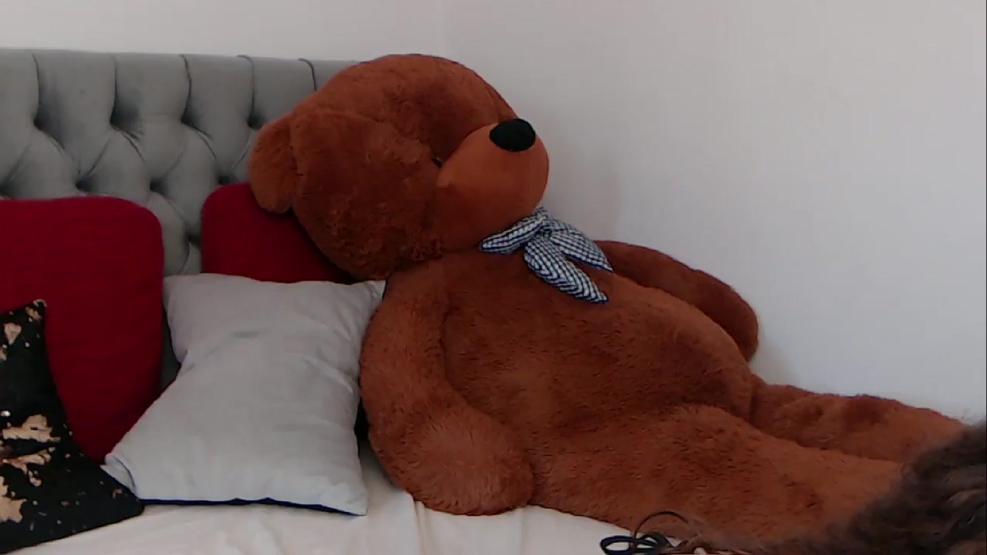 Gallery image thumbnail from BreeKanne's myfreecams stream on, 03/13/2026, 11:09 image 7 of 20