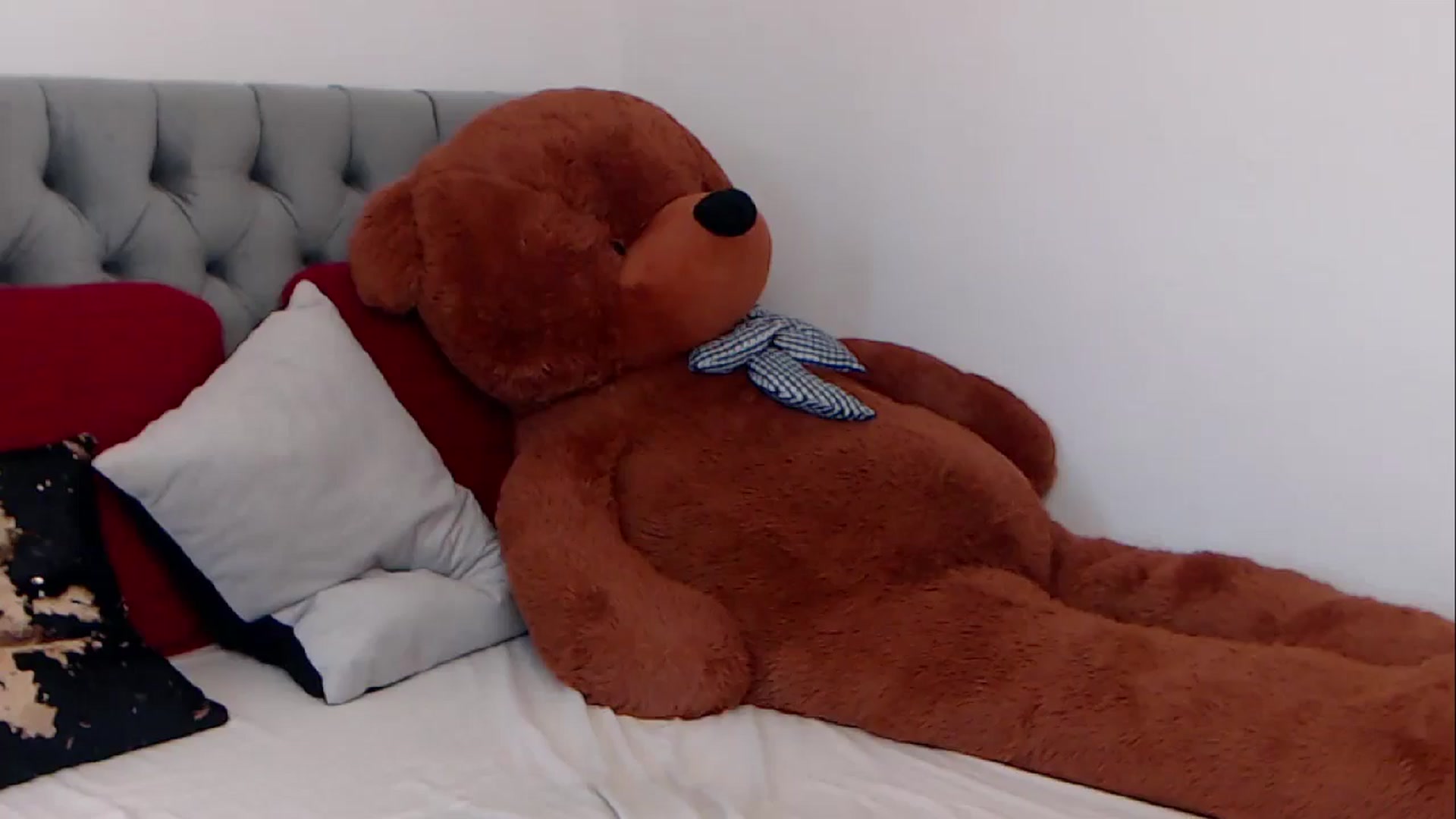 Gallery image thumbnail from BreeKanne's myfreecams stream on, 03/14/2026, 09:45 image 15 of 20