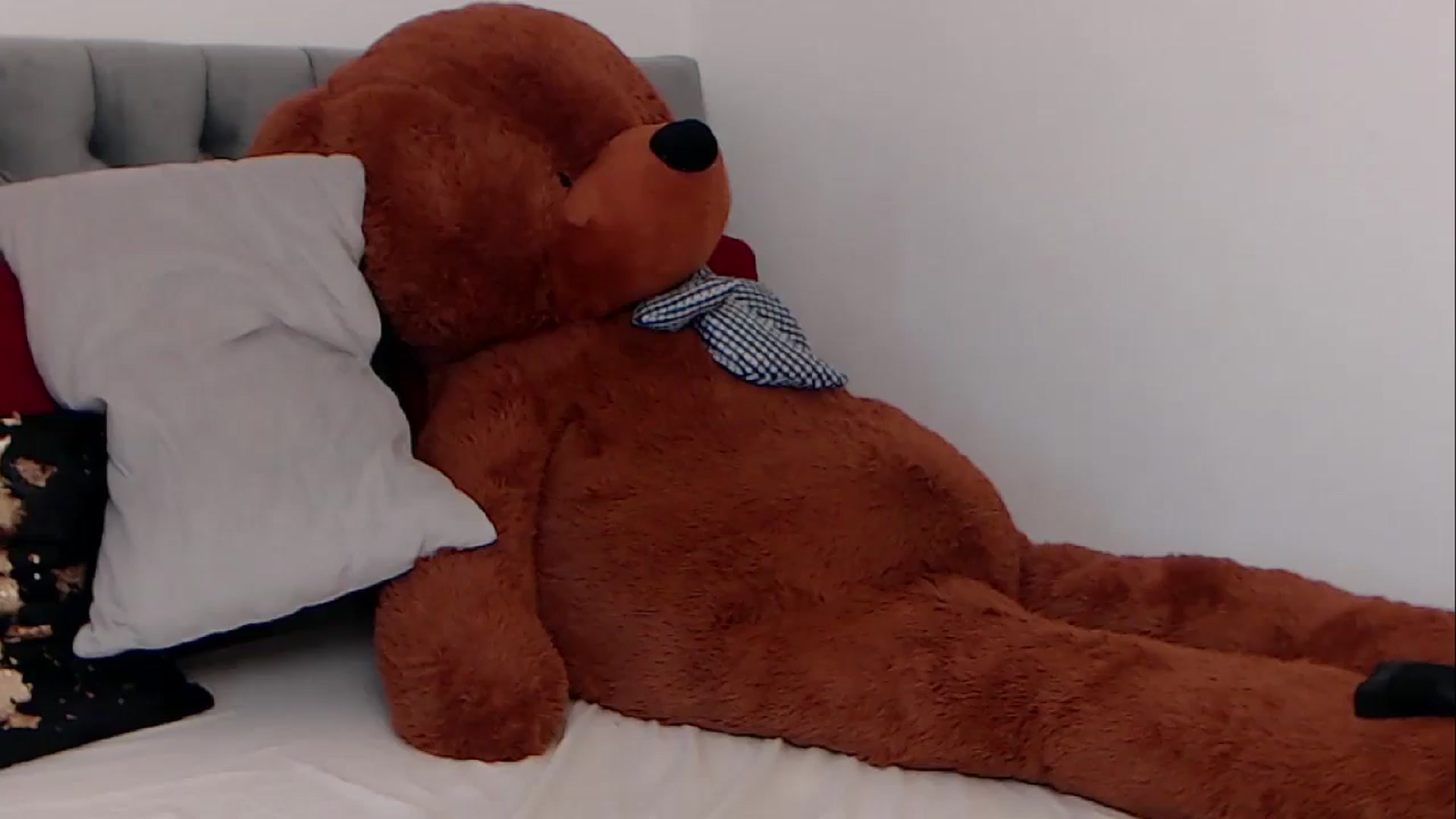 Gallery image thumbnail from BreeKanne's myfreecams stream on, 03/17/2026, 08:35 image 8 of 20
