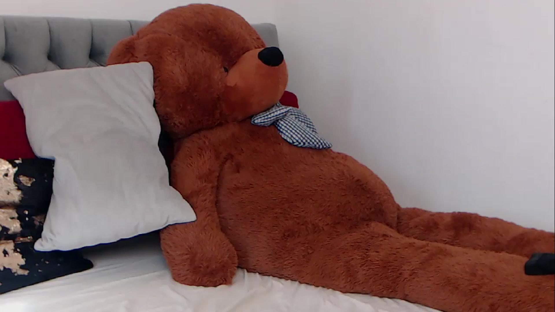 Gallery image thumbnail from BreeKanne's myfreecams stream on, 03/17/2026, 12:45 image 18 of 20