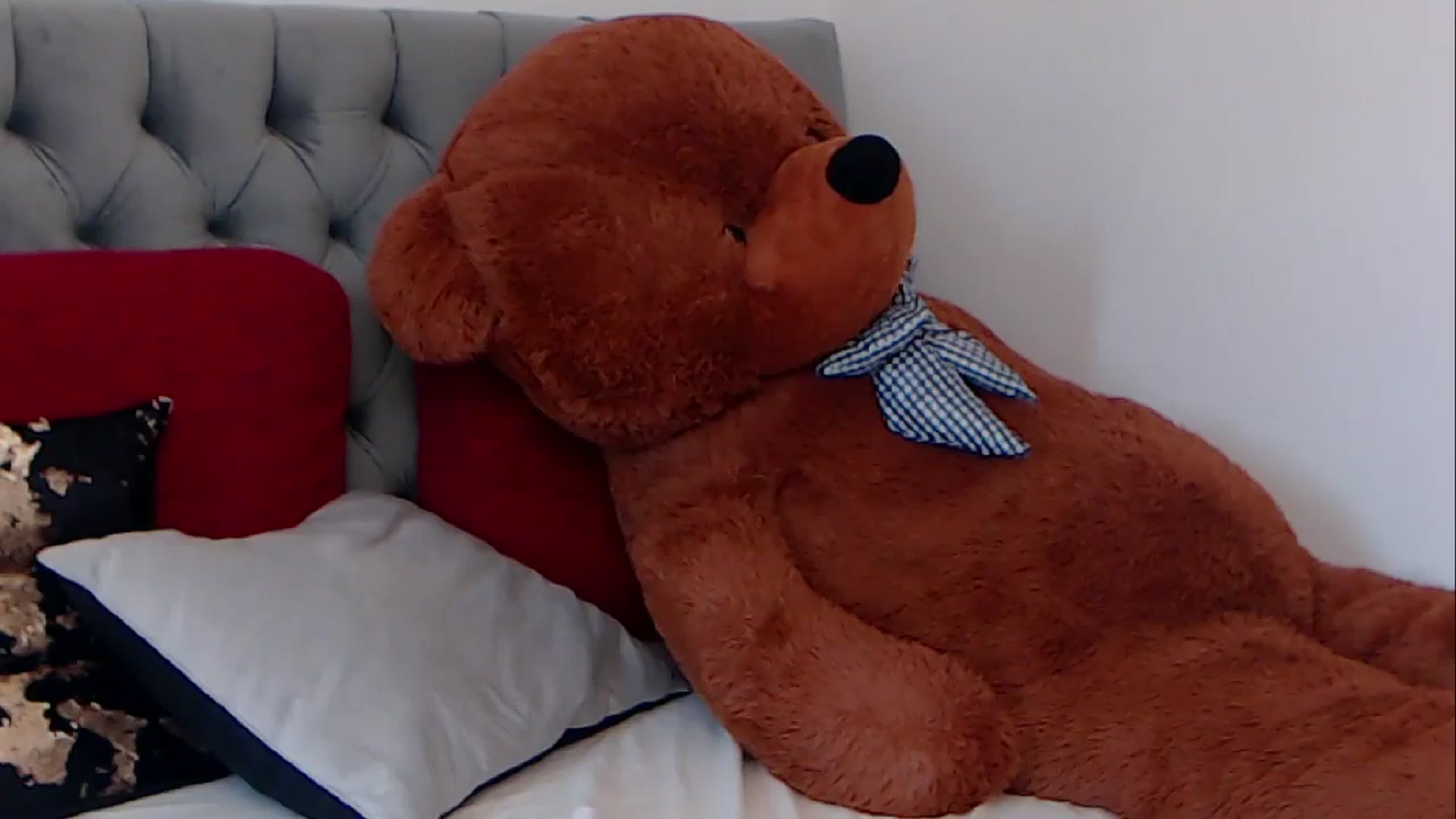 Gallery image thumbnail from BreeKanne's myfreecams stream on, 03/18/2026, 08:48 image 16 of 20