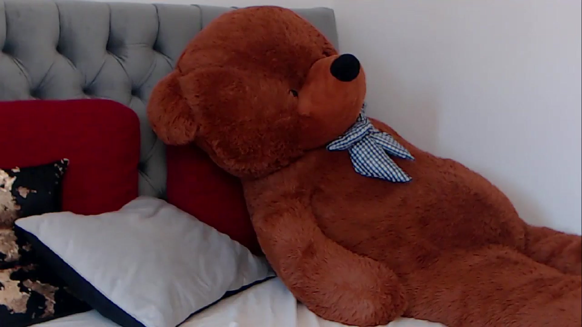 Gallery image thumbnail from BreeKanne's myfreecams stream on, 03/18/2026, 08:48 image 8 of 20